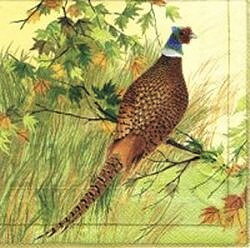 Paper Napkin Sold By Unit Pattern Royal Pheasant Brand Ambiente Paper Napkin Sold By Unit Pattern Royal Pheasant Brand Ambiente