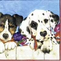 serviette en papier chiens dalmatiens bouvier chiots douceur 101 animaux