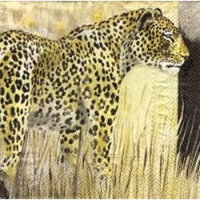 serviette en papier léopard dans savane, côté tacheté