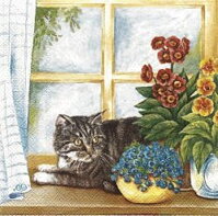 serviette en papier chat fenêtre fleurs rideau maison chaleur home sweet home