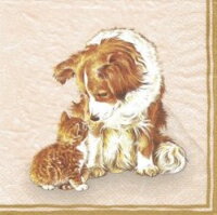 serviette en papier chat et chien roux douceur câlin amitié