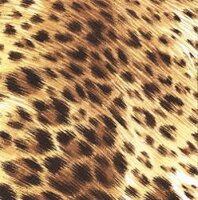 serviette papier peau léopard 