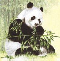 serviette en papier panda eucalyptus