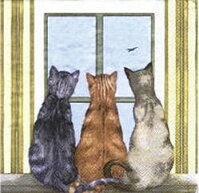 serviette en papier 3 chats gris roux blanc fenêtre oiseau nature