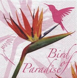 ANI316 BIRD OF PARADISE PINK