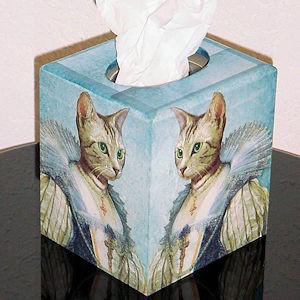 CUBE221 MADAME CHAT BOTTEE