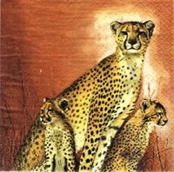 serviette en papier femelle guépard et ses petits coucher de soleil fond ocre