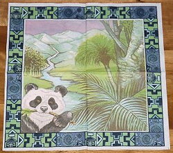 ANI227 PANDA AHA