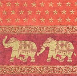 ANI238 ELEPHANTS MARANI ORANGE