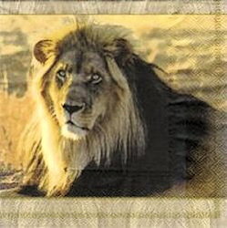 serviette en papier lion savane sauvage crinière roi des animaux