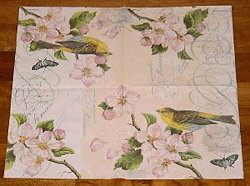 ANI296 BIRD & BLOSSOM