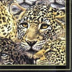 serviette en papier têtes de léopard détaillées, cadre noir, yeux jaunes