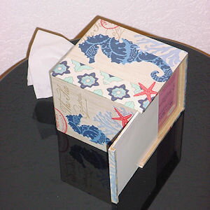 CUBE205 HIPPOCAMPE