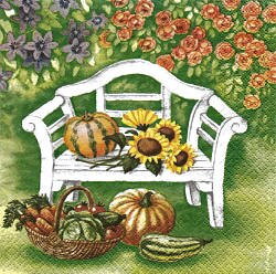 NAT170 PUMPKINS AND SUNFLOWRS ON A WHITE BENCH