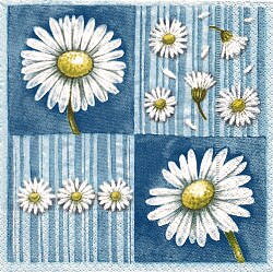 NAT065 DAISIES ON LIGHT BLUE BACKGROUND