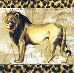 ANI015 LION AFRICA