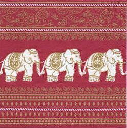 ANI212 ELEPHANTS INDIA PAW