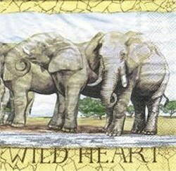 ANI011 ELEPHANTS WILD HEART AFRICA