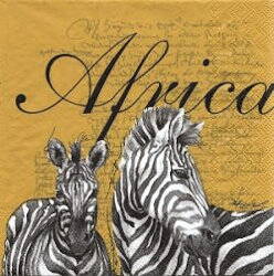 ANI302 ZEBRA FROM AFRICA