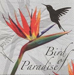 ANI318 BIRD OF PARADISE GREY