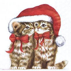 ANI328 DEUX CHATONS DE NOEL