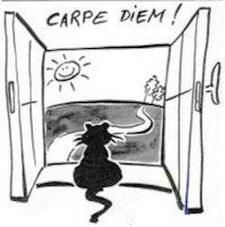 ANI059 CHAT CARPE DIEM