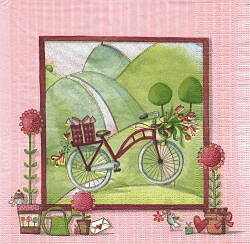 DIV147 BICYCLETTE ROSE