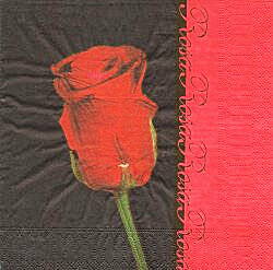 NAT147 ROSE ROUGE SUR FOND NOIR