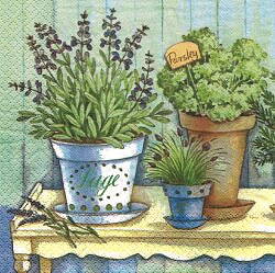 NAT197 PLANTES AROMATIQUES EN POTS