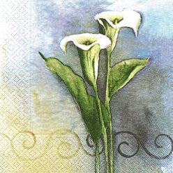 NAT063 CALLA LILY ON BLUE BACKGROUND
